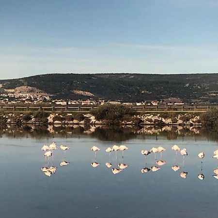 Flamants Roses 1 Pers 6 Frontignan Esterno foto